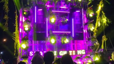 Salah satu truk sound horeg saat karnaval di Kabupaten Malang. (Foto : Istimewa)