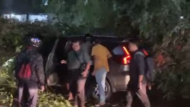 Satu mobil tertimpa pohon tumbang di Jalan Raya Karanglo. (Foto : tangkapan layar video kiriman pendengar)